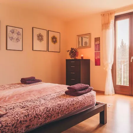 Mimosa 4* 콜리코